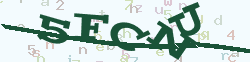 verify_code